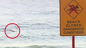 More than a dozen beaches in Sydney closed after fatal shark attack