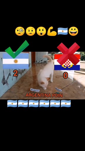 🧐🤨😲💪🇦🇷😀#puppy6 #mainuddin🌝🌝 #foryou #CapCut @MySoccer_Station @MySoccer_Station @❤️Voice--Of--puppy--❤️🤦 @❤️Voice--Of--puppy--❤️🤦