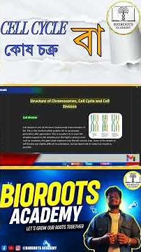 How Your Cells Divide NON-STOP! 😲