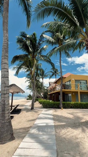 Wake up to the rhythm of the tide at Secrets Aura Cozumel. 🌊✨ ​Level up with the Preferred Club for: ​• Private lounge & beach access ​• Top-shelf spirits & VIP service ​• Best-in-house oceanfront suites ​Book your escape here : https://www.hyattinclusivecollection.com/en/resorts-hotels/secrets/mexico/aura-cozumel/accommodations/rooms-suites/?utm_source=facebook&utm_medium=social&utm_campaign=SEACZ_propertyevergreen | Secrets Aura Cozumel