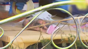 Police uncover dolls in Terry Kelly's house (7 News)