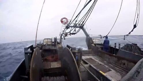 远洋拖网船出海捕捞操作全过程，这工作看着真轻松