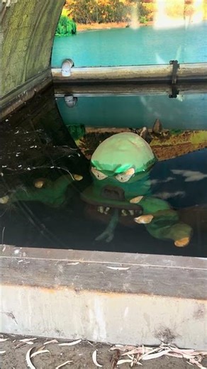 Bertha the Bunyip at Murray Bridge taking a break from entertaining and roaring at the public 02/26