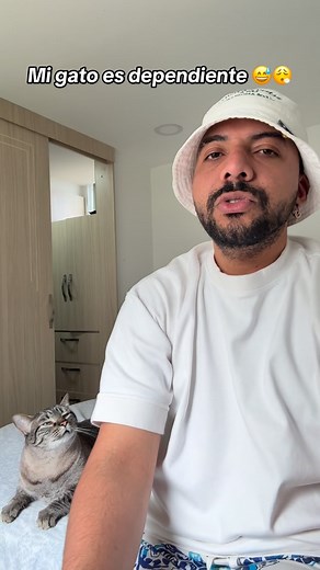 la Diva Minerva on Instagram: "Mi gato es dependiente y esta es su historia mientras lo mimo y lo cargo un ratito. 🤣🤣🤣 ¿alguien de aquí tiene gatitos así o solo es el mío? #cats #gatos #catlover #catsoninstagram #humor #humorespañol #risa #catlover #gatitos #cutecat #mascotas #comedia #comedia"