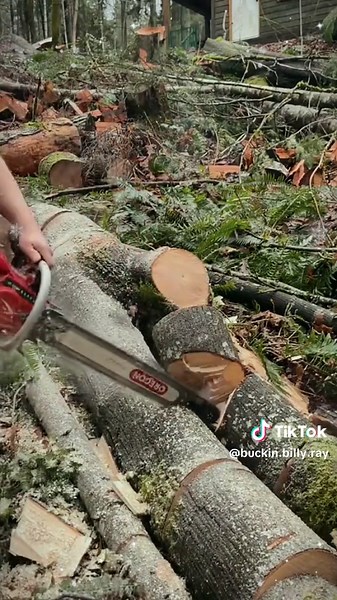 Fastest cutting little Homelite chainsaw around