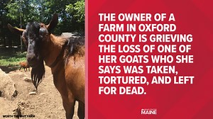 Farm owner searching for answers after her finding her missing goat dead