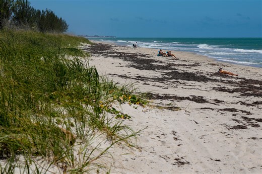 Pepper Park Beach a 'special event zone' for beach bash: What it means