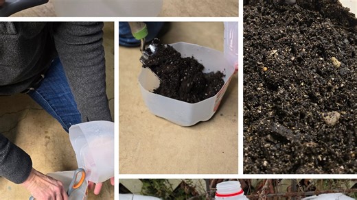 Over the Garden Gate: Winter sowing: a beginner’s guide to starting seeds early