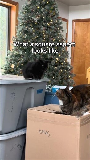 Learning astrology with us one episode at a time in our little Astro Study Room #astrofacts