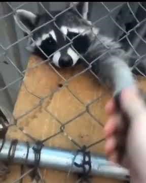 You’re my friend now we’re having soft tacos later