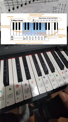 Diferencias entre acordes de piano: C y D