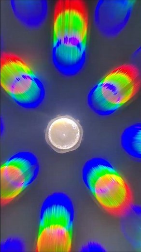 Light Diffraction! #science #physics #optics