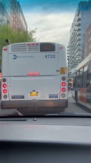 From photo gallery saved from primere