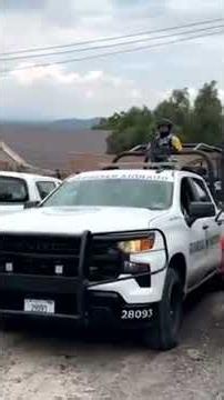 Bengal tiger on the loose in Edomex search | #shorts | Nacho Lozano