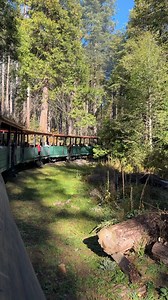Ride into the Sierra Mountains aboard the Yosemite Mountain Sugar Pine Railroad! 🚂 This historic steam train is located only 10 minutes from the southern entrance of Yosemite National Park off Highway 41 and is open April through November. 🌲 Enjoy a steam train ride, then stay to explore the logging museum, go gold panning, and visit the Kids’ Depot Toy Store. 🏞️ 📍Yosemite Nation, Near Yosemite National Park 📷 @wanderingcreator_meghana on IG | Visit California