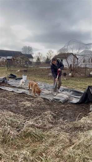 Creating a Beautiful Pollinator Garden Patch