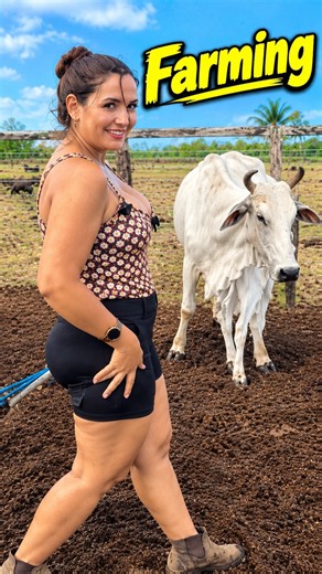 Cow Farming 🐄🌾 | Cattle Care, Dairy Farm & Real Farm Life | Maria Vlogs #cowfarm #love #mariavlogs