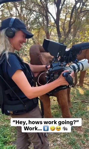 RT @LePapillonBlu2: When the photographer becomes part of the wilderness. ♥️🌎