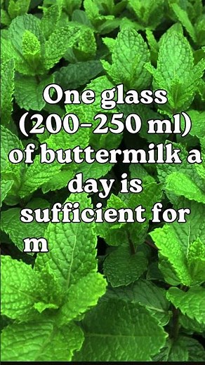 How Much Buttermilk Is Safe to Drink Daily? 🥛 #HealthTips