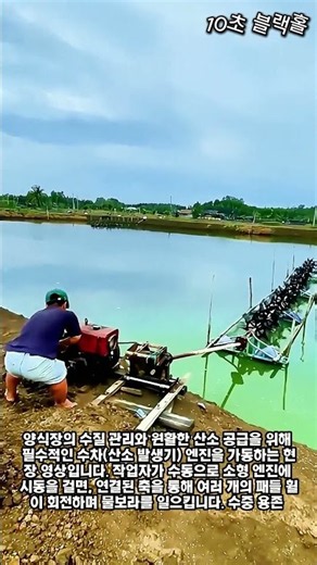 양식장 수차 엔진 가동 작업 현장 #worker #process #aquaculture #aerator #farming