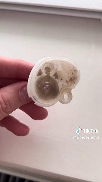 Mould Inside Tommee Tippee Sippy Cup! Must-See Warning Video