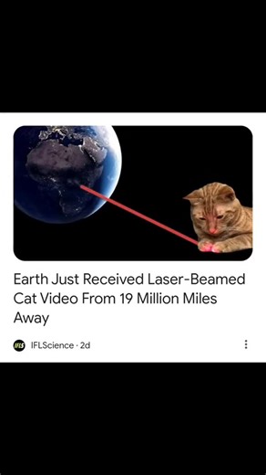 Alec Hamlin on Instagram: "Aliens send cat memes #aliens #alien #funny #wholesome"