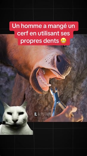 Un homme a mangé un cerf en utilisant ses propres dents 😬 #education #explication #science #innovation