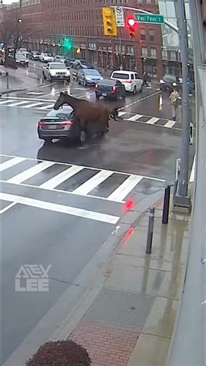 Slides straight into danger. | Alex Lee