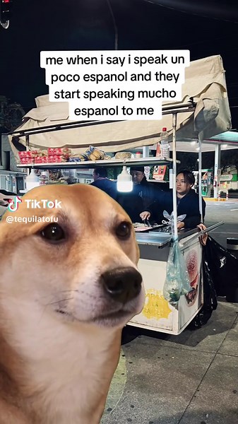 Learning Spanish with Duolingo and JustAnswer