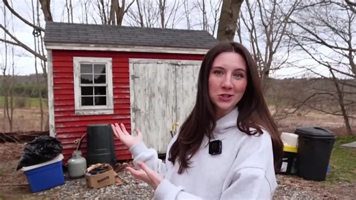 I turned a tiny shed in my parents’ garden into a cosy home in a week
