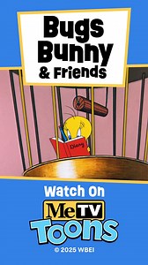✍️Dear diary, I know you won't bewieve this...✍️This clip is from the Academy Award winning Merrie Melodies short "Birds Anonymous", directed by Friz Freleng and starring Sylvester and Tweety! #tweetybird #sylvesterthecat #tweetyandsylvester #looneytunes #academyawards #classiccartoons #classicanimation #MeTVToons | MeTV Toons