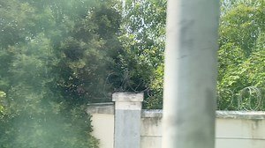 D2218次（重庆北-上海虹桥）出红安西站（车内视角），本务CRH1B-1058