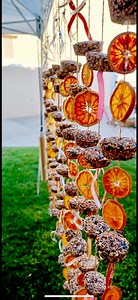 Wild Bird Seed Sun Catcher Garland Feeder - String of 6 With Fruit - Etsy