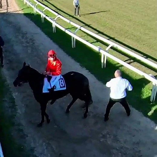 Cavallo da corsa imbizzarrito prima della gara 🇮🇹 # Roma #Capannelle #videoFaberCucchetti