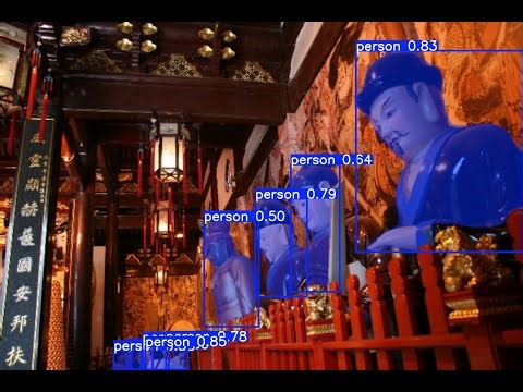 YOLO11 Inference Detection with Raspberry Pi