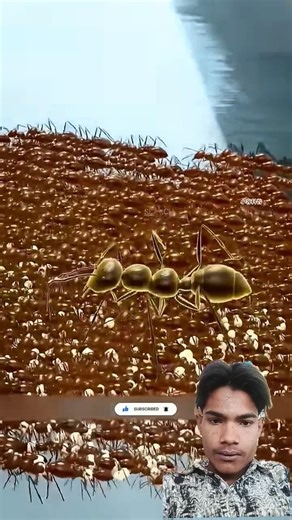 🔥#TIMELAPSE: START to FINISH Alone BUILD LOG Cabin(Wooden House) How To Build Wooden Cabin Surviva