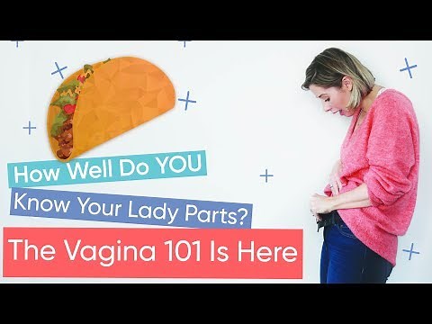 7 Vagina Facts You Need To Know | Channel Mum Women's Health Guide