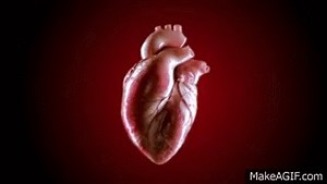 3d animated human heart on Make a GIF