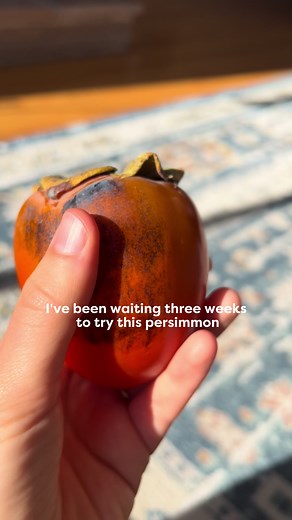 Tasting a Hachiya Persimmon for the First Time