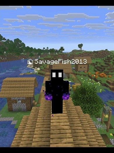 The Best Way To find Bases In donut smp