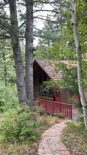 Cozy Cabin