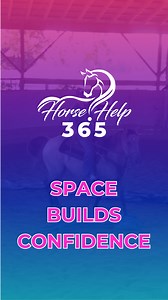 🐴 Obstacle Horses Made Simple! ✨ Think your horse "just doesn’t do obstacles"? Think again. In this clip, Michael shows how giving your horse space, not pressure, is the secret to building forward confidence—without face-snatching, over-holding, or confusion. 💡 Want the full step-by-step? Watch the full lesson now on Horse Help 365! 🚀 If You Want To Learn More, Visit Our Website In The Bio OR Join Us For FREE Inside The 30-Day Horse Help Challenge At https://vist.ly/3n7an32 #horsebackriding #