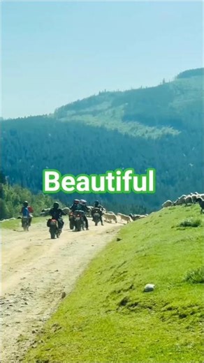 Switzerland green field||#shortsfeed #swissalps #swissmountains #trendingshorts #youtubeshorts