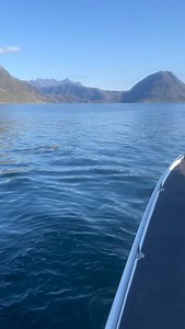 Every boat passenger very happy with our “Dolphin Day”, thanks to all skippers and crew for making it a very special Sunday . | Bella Jane Boat Trips