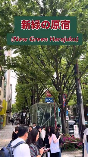 【8K HDR】 新緑の原宿、表参道(Fresh green Harajuku, Omotesando)