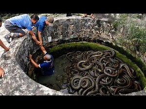 They Tried To Help But Didn't Expect This To Happen; Strange Footage!