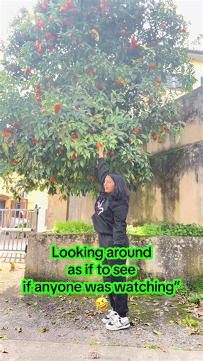 Surprising Taste of Italian Oranges