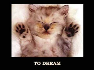 NEW YEAR'S RESOLUTION