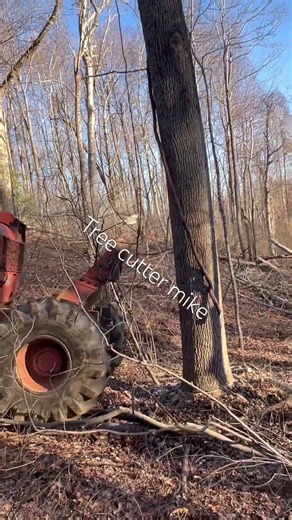 #timberjack #woodgrain #oldschool #valogger #562xp #logging