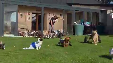 RT @buitengebieden: Joy, pure joy.. 😊